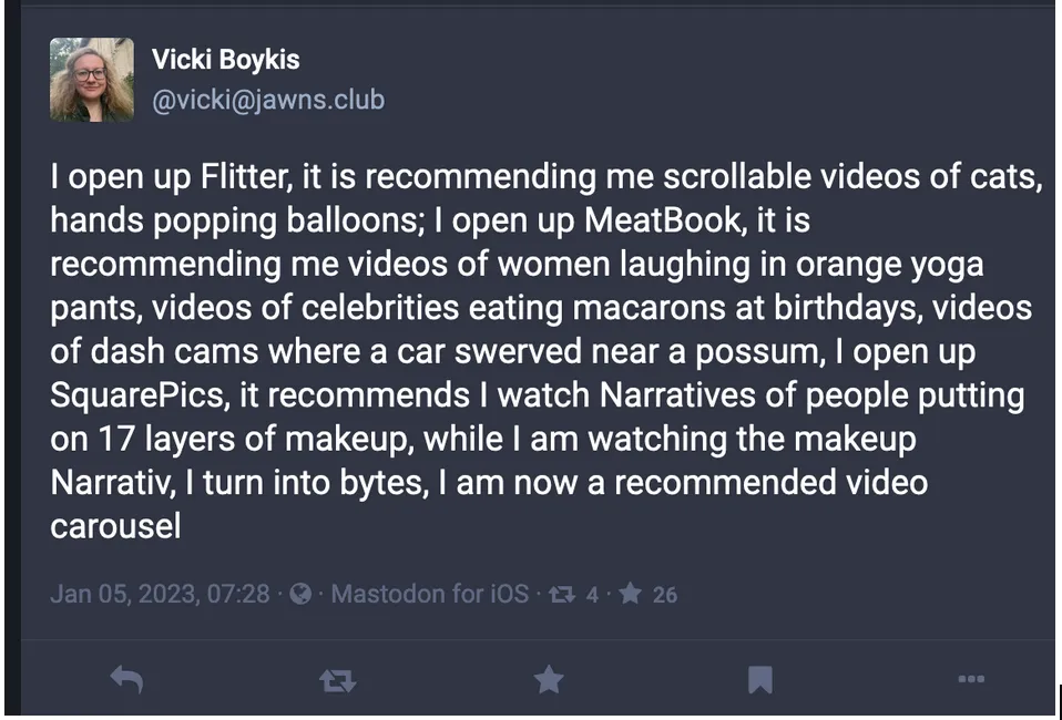 Vicki Boykis&#x27;s tweet.